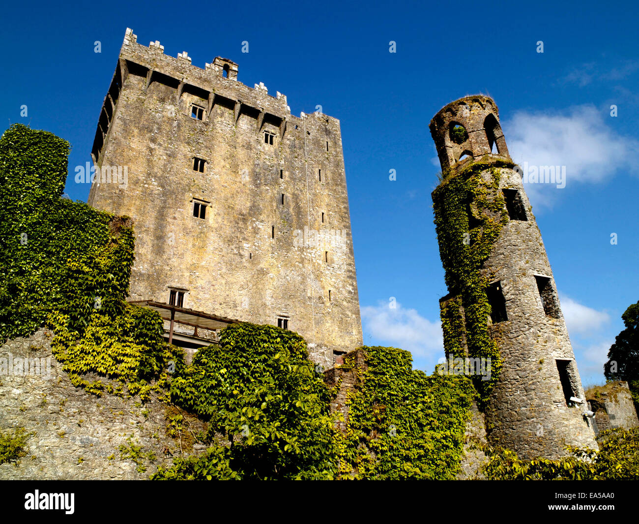 Blarney Castle, Co. Cork, Irland, Stein, Stockfoto
