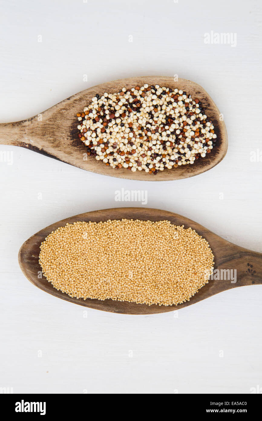 Zwei hölzerne Löffel Bio Amaranth, Amaranthus und Bio Quinoa Getreide, Chenopodium Quinoa, auf weißem Hintergrund Stockfoto
