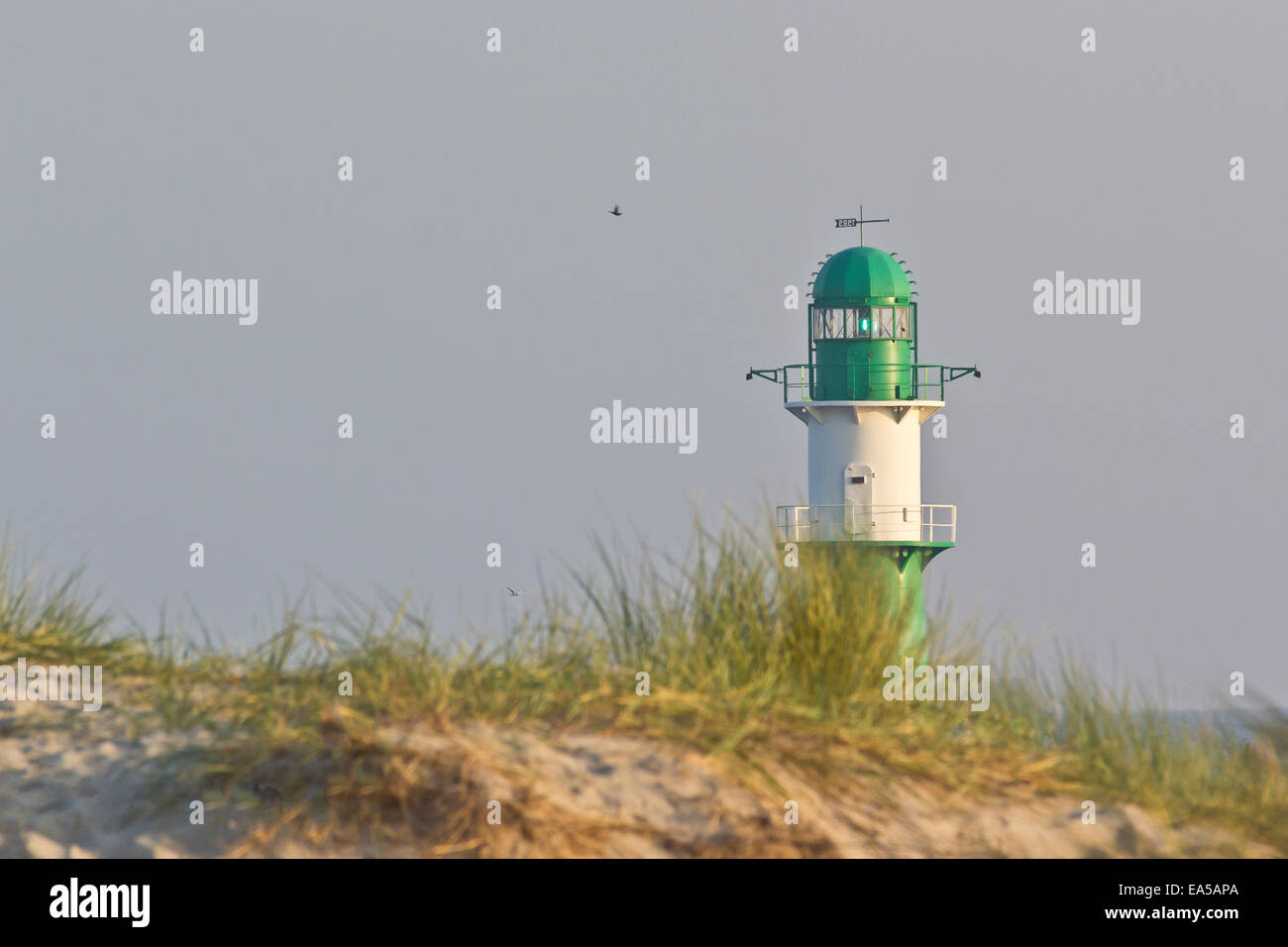 Deutschland, Mecklenburg-Vorpommern, Warnemünde, grüner Leuchtturm hinter Dünen Stockfoto