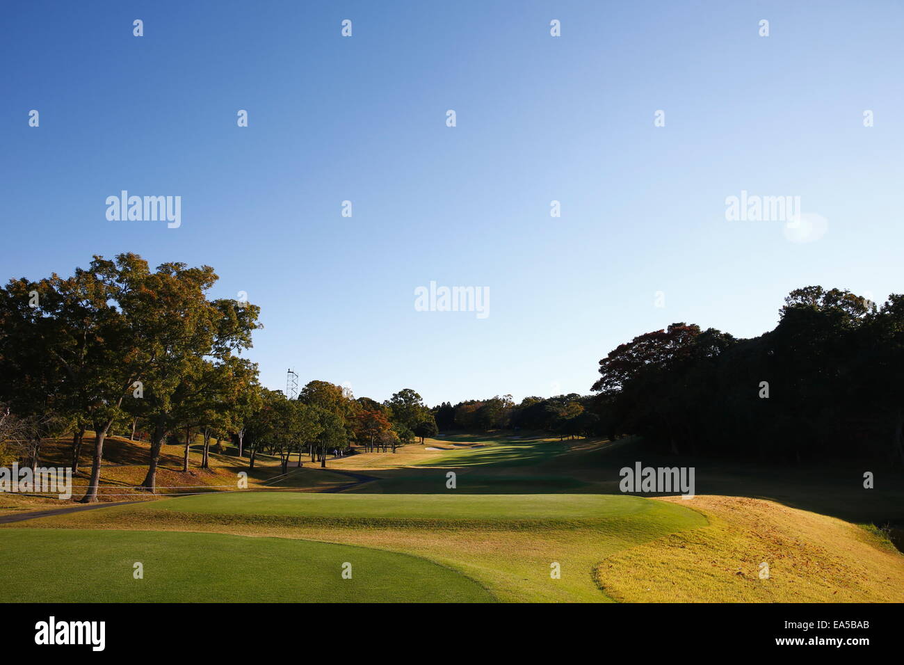 Chiba, Japan. 7. November 2014. Gesamtansicht Golf: HEIWA PGM Meisterschaft in Kasumigaura zweite Runde im Miho Golfclub in Chiba, Japan. © AFLO SPORT/Alamy Live-Nachrichten Stockfoto