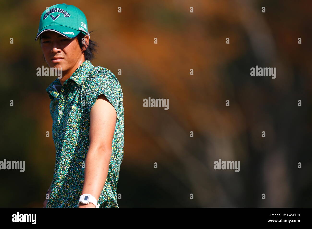 Chiba, Japan. 7. November 2014. Ryo Ishikawa Golf: HEIWA PGM Meisterschaft in Kasumigaura zweiten Runde im Miho Golf Club in Chiba, Japan. © AFLO SPORT/Alamy Live-Nachrichten Stockfoto