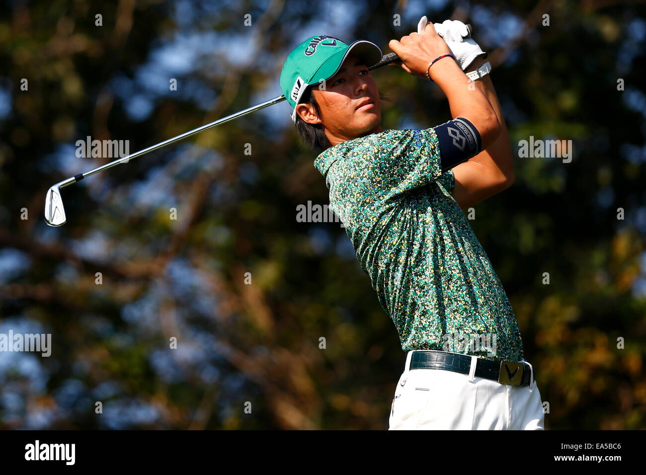 Chiba, Japan. 7. November 2014. Ryo Ishikawa Golf: HEIWA PGM Meisterschaft in Kasumigaura zweiten Runde im Miho Golf Club in Chiba, Japan. © AFLO SPORT/Alamy Live-Nachrichten Stockfoto