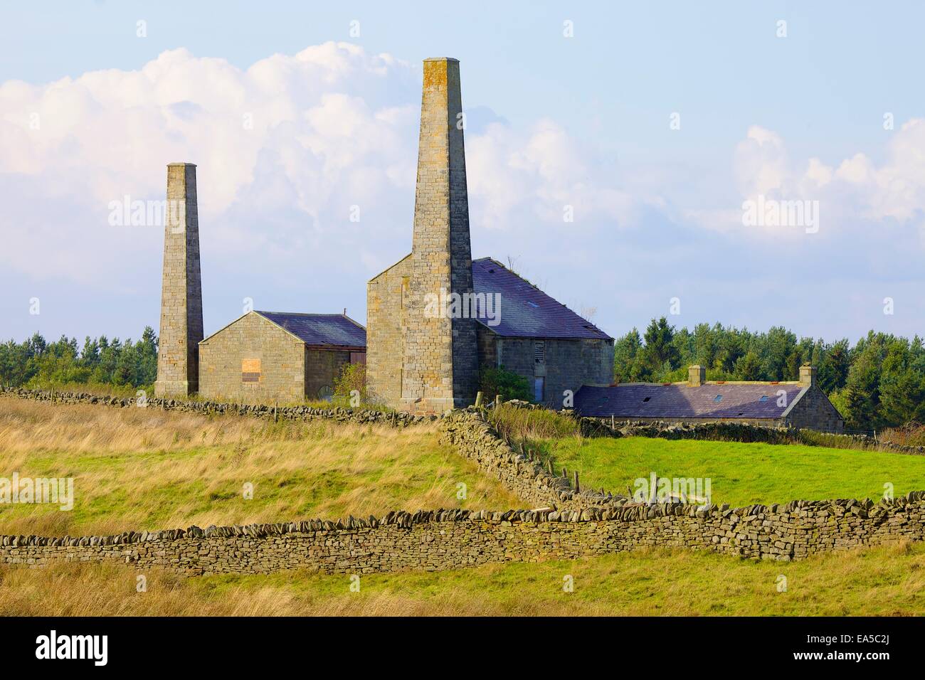 Alten Bergbau Schornsteine führen und Gebäude, Stublick Hof, Stublick Moor, Allendale Stadt, Northumberland, England, UK. Stockfoto