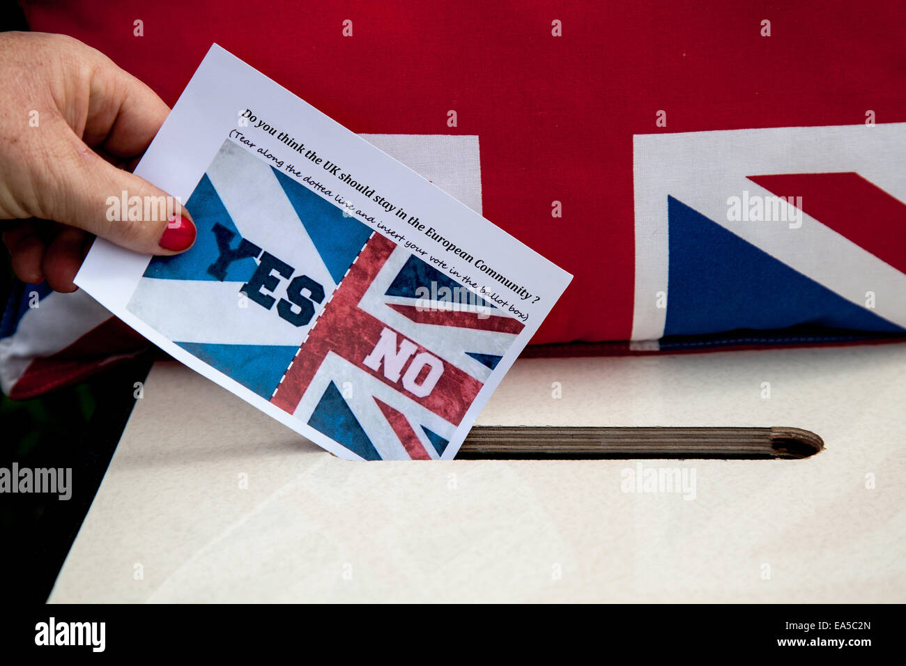 Glauben Sie, dass das Vereinigte Königreich die in der Europäischen Gemeinschaft Ja oder Nein Hand Abstimmung Slip in Weiß Wahlurne bleiben sollte. Stockfoto