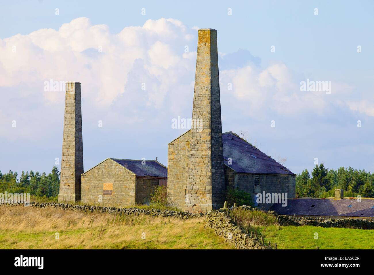 Alten Bergbau Schornsteine führen und Gebäude, Stublick Hof, Stublick Moor, Allendale Stadt, Northumberland, England, UK. Stockfoto