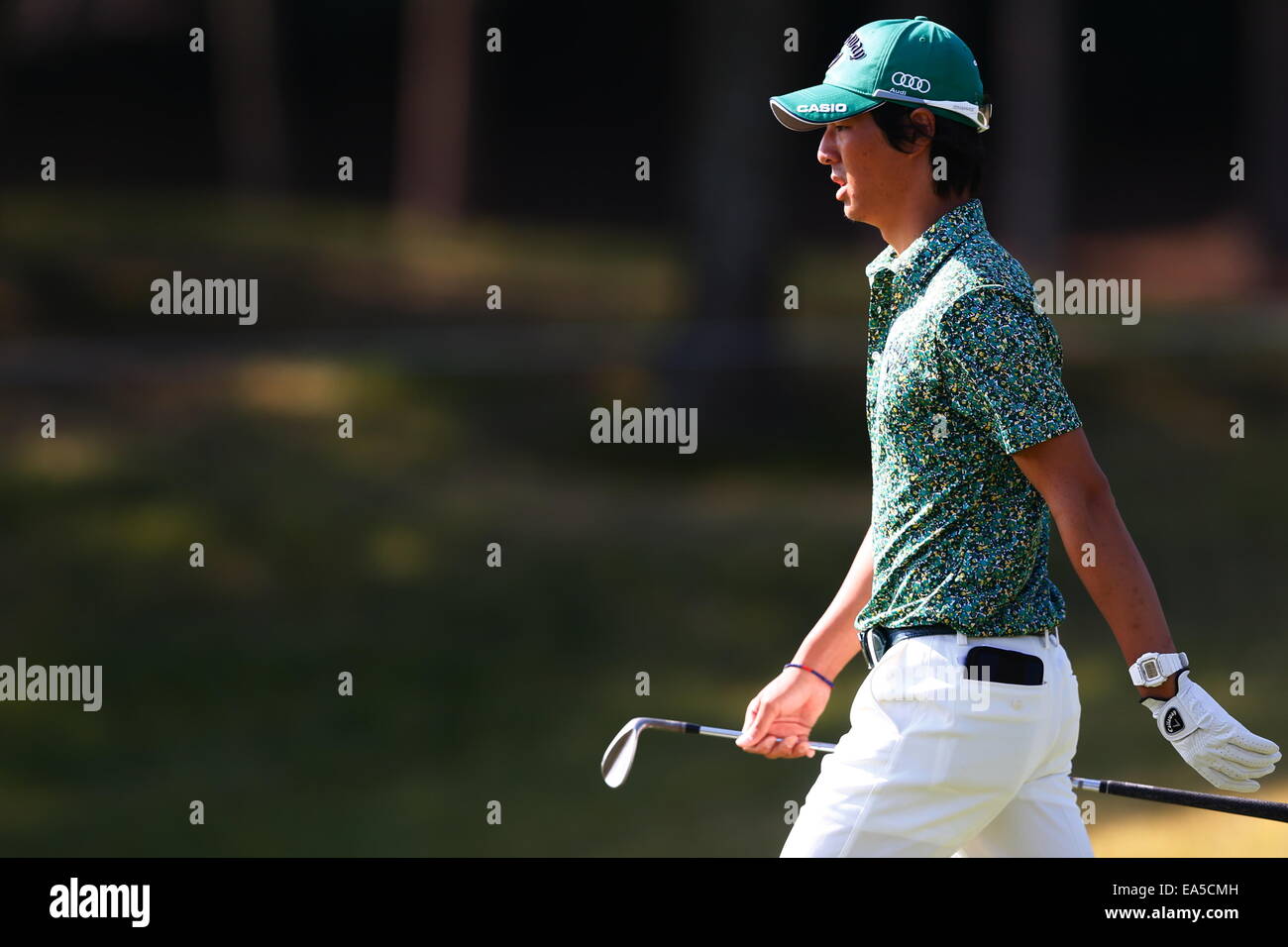 Chiba, Japan. 7. November 2014. Ryo Ishikawa Golf: HEIWA PGM Meisterschaft in Kasumigaura zweiten Runde im Miho Golf Club in Chiba, Japan. © AFLO SPORT/Alamy Live-Nachrichten Stockfoto
