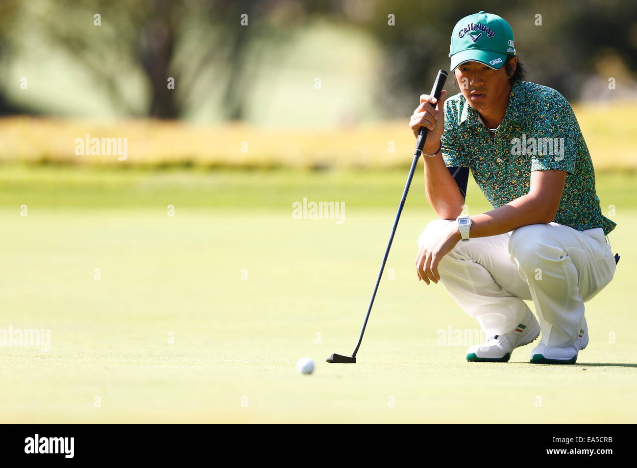 Chiba, Japan. 7. November 2014. Ryo Ishikawa Golf: HEIWA PGM Meisterschaft in Kasumigaura zweiten Runde im Miho Golf Club in Chiba, Japan. © AFLO SPORT/Alamy Live-Nachrichten Stockfoto