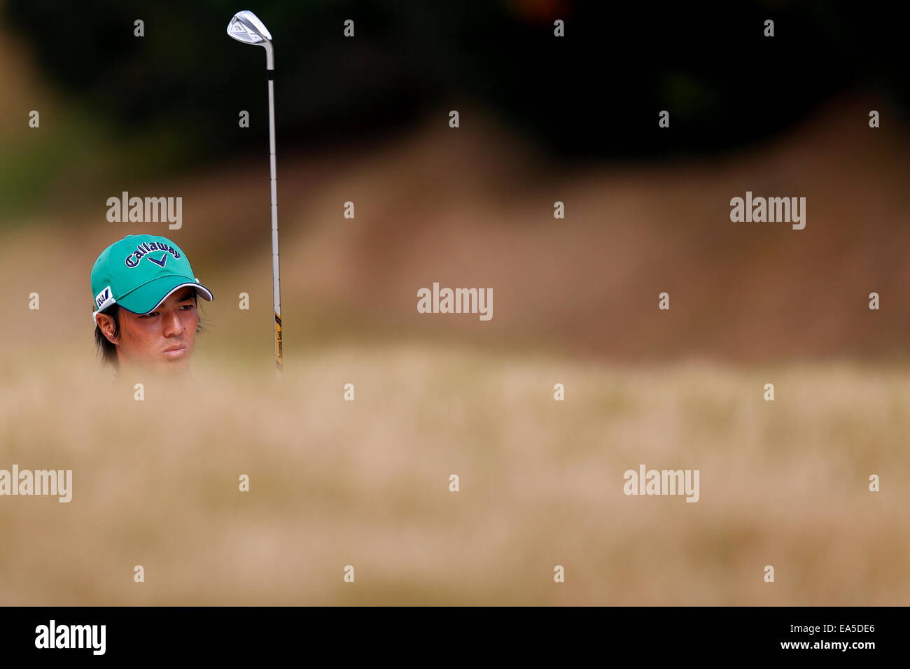 Chiba, Japan. 7. November 2014. Ryo Ishikawa Golf: HEIWA PGM Meisterschaft in Kasumigaura zweiten Runde im Miho Golf Club in Chiba, Japan. © AFLO SPORT/Alamy Live-Nachrichten Stockfoto