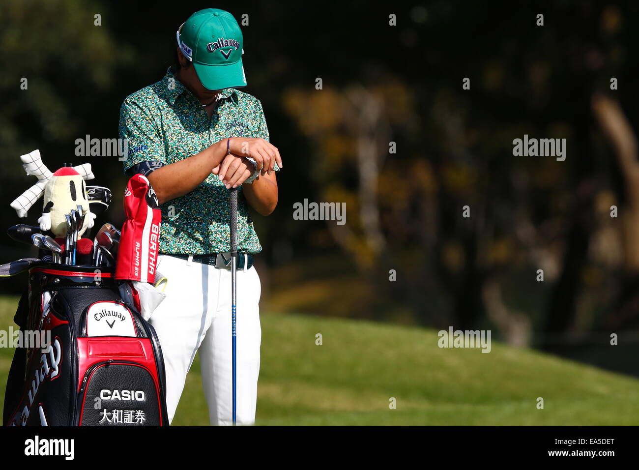 Chiba, Japan. 7. November 2014. Ryo Ishikawa Golf: HEIWA PGM Meisterschaft in Kasumigaura zweiten Runde im Miho Golf Club in Chiba, Japan. © AFLO SPORT/Alamy Live-Nachrichten Stockfoto