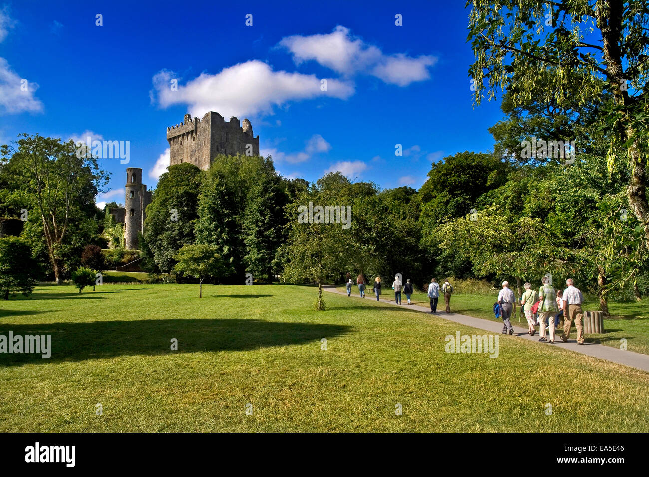 Blarney Castle, Co. Cork, Irland, Geschwätz Stein Stockfoto