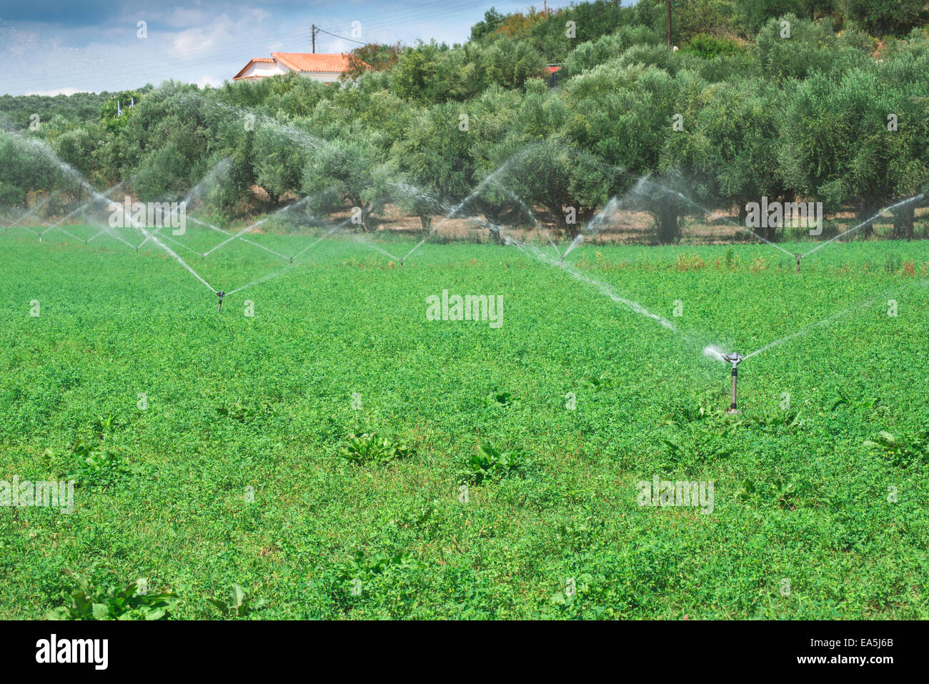 Bewässerung-Systeme. Blauer Himmel Stockfoto