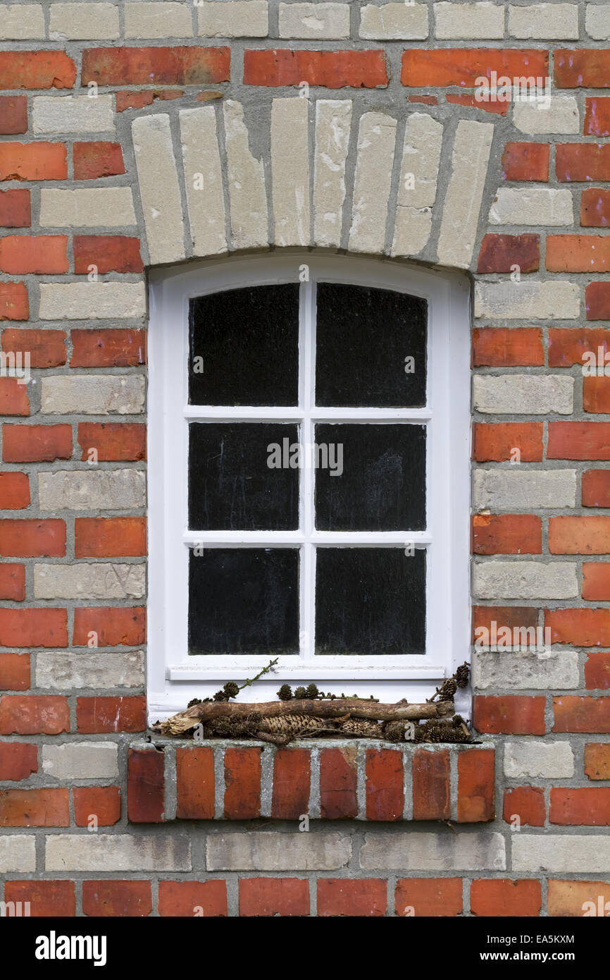 Fenster Stockfoto
