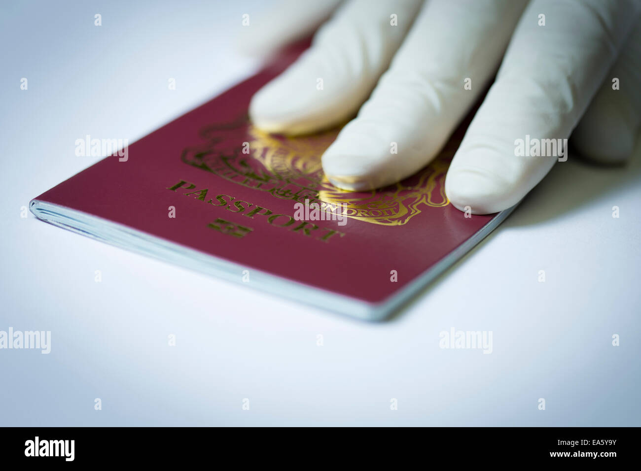 Latex Handschuh einen Reisepass zu seinem Besitzer zurück. Stockfoto