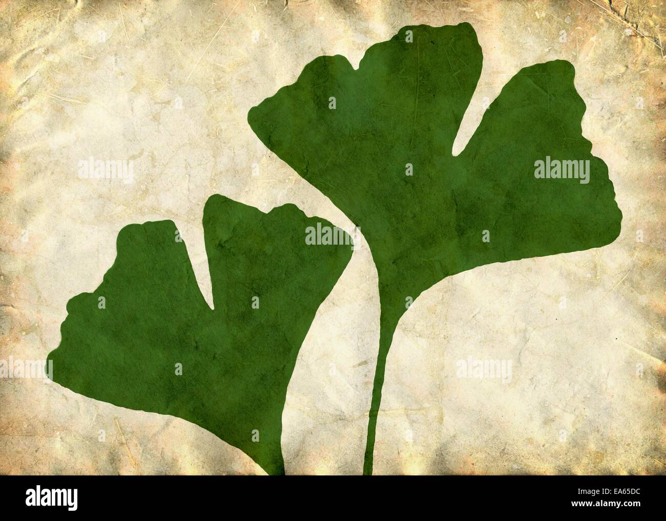 Genetik evolution -Fotos und -Bildmaterial in hoher Auflösung – Alamy