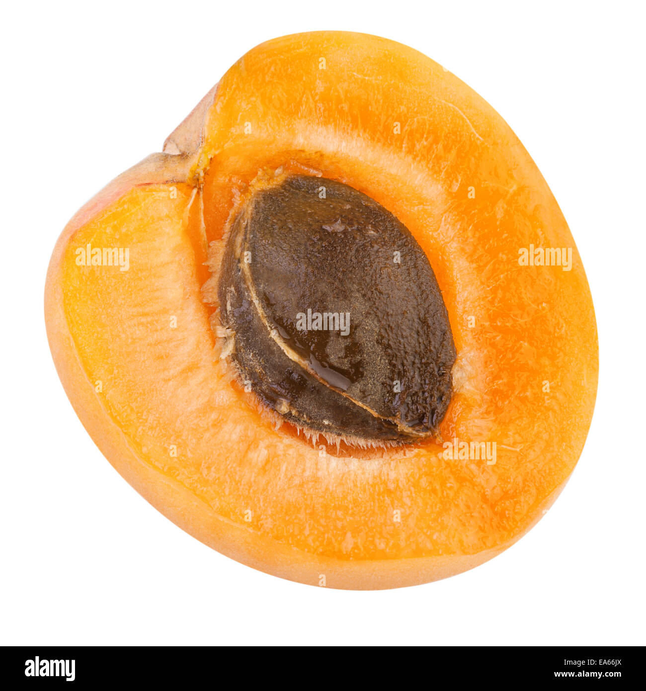 Die Hälfte der Aprikose mit Frucht Kern Stockfoto