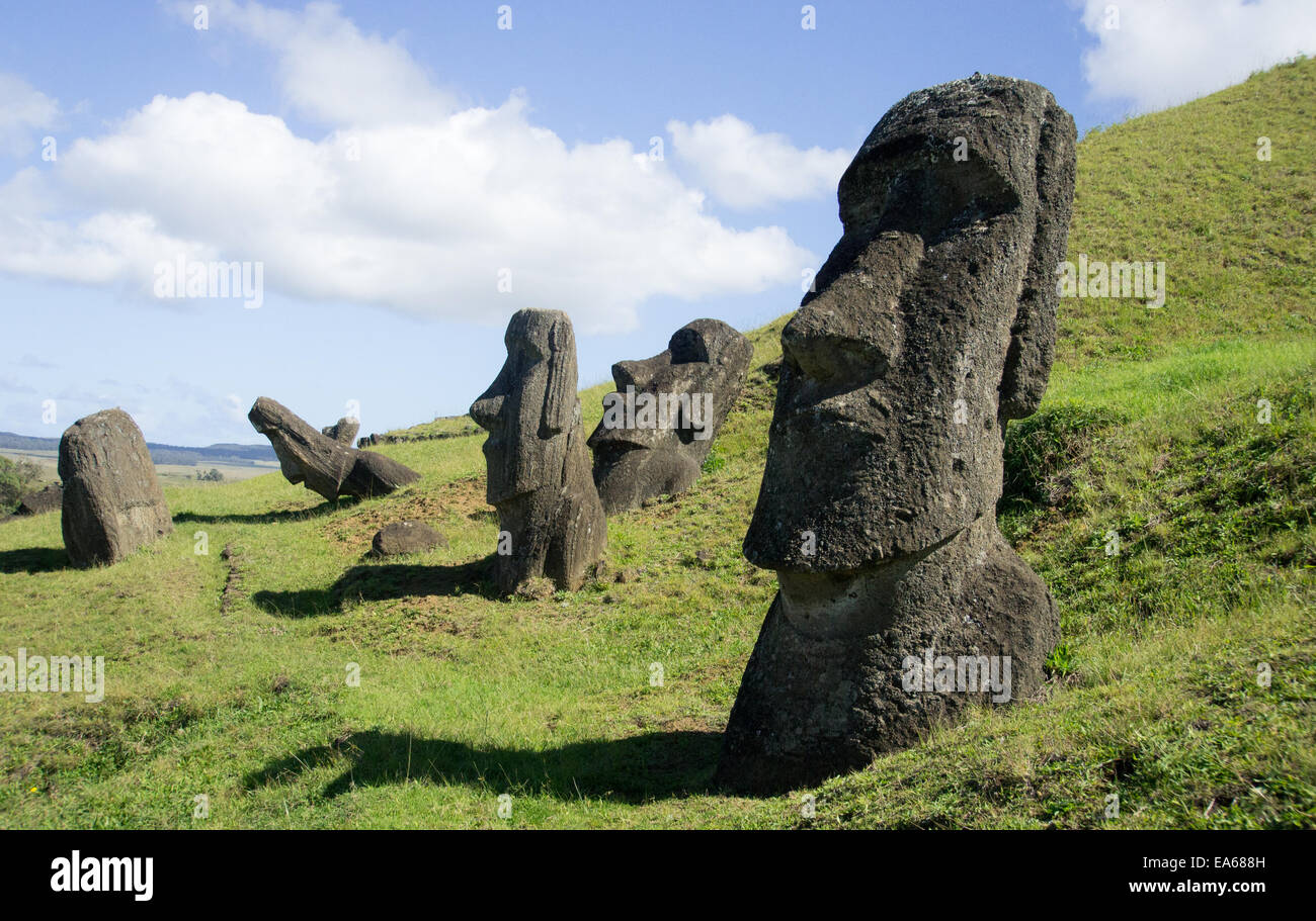 Moais, die berühmten Steinköpfe auf Rapa Nui der Insel häufiger bekannt als Osterinseln Stockfoto