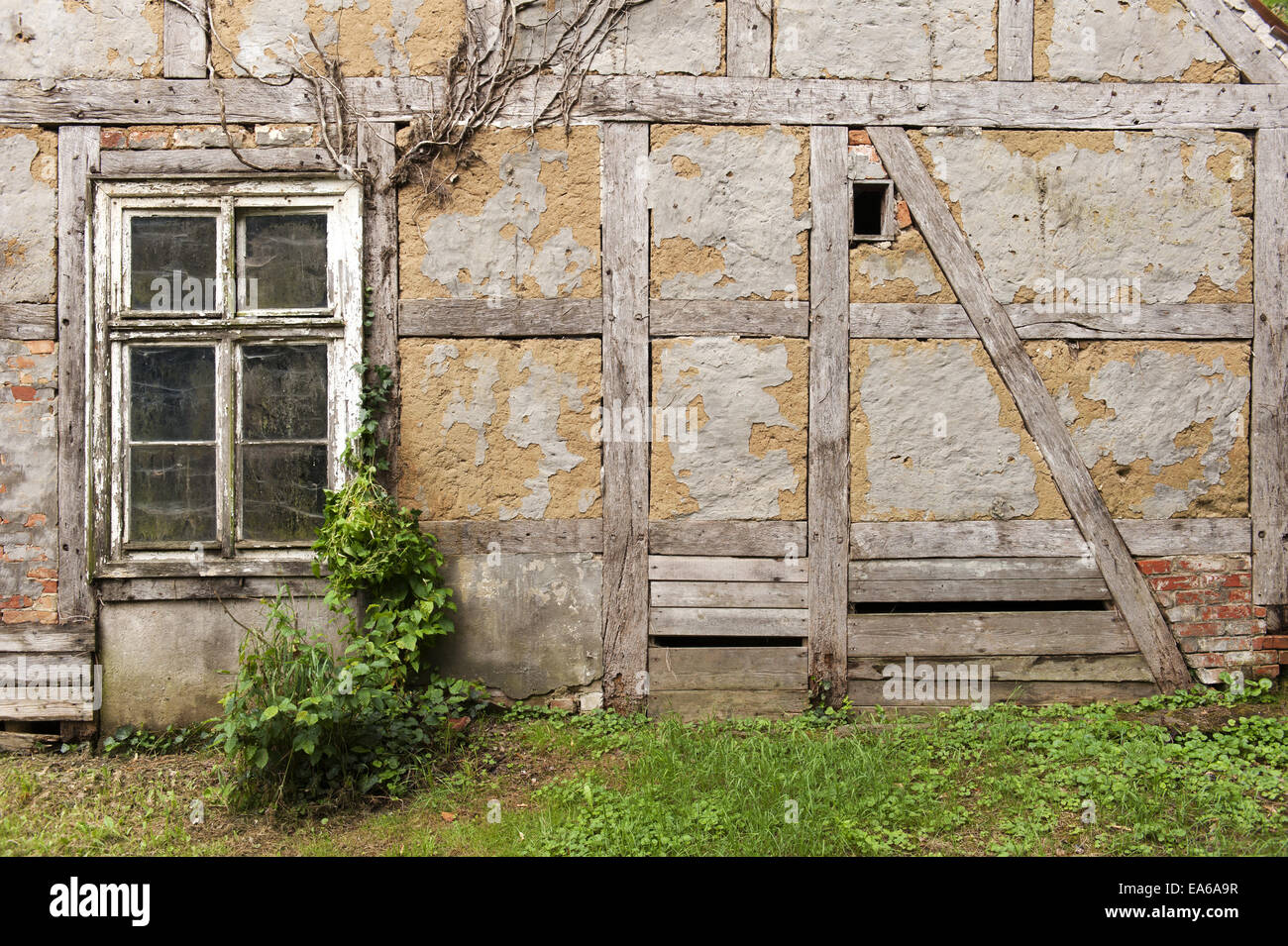 Halbe Verschalen Wand Stockfoto