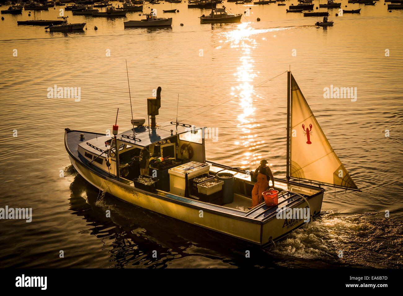 AJA-O, eines der kleinen Hummer Angelboote/Fischerboote unterwegs in den Hafen von Plymouth, Massachusetts, in der Morgendämmerung mit seinen Fang. Stockfoto