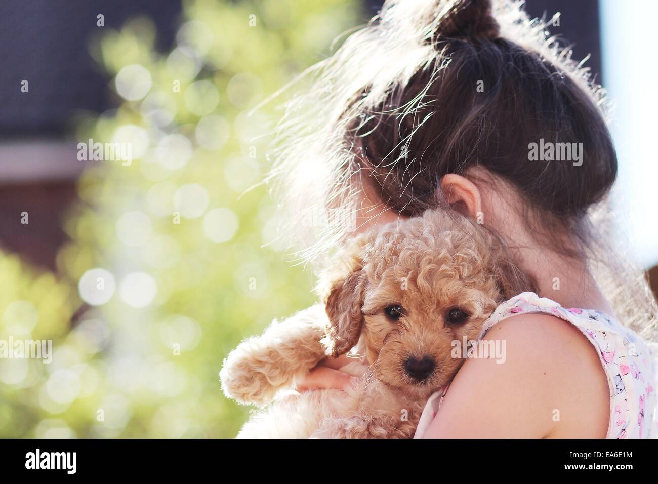Junges Mädchen im Garten stehend kuschelt ihren Welpen Hund Stockfoto