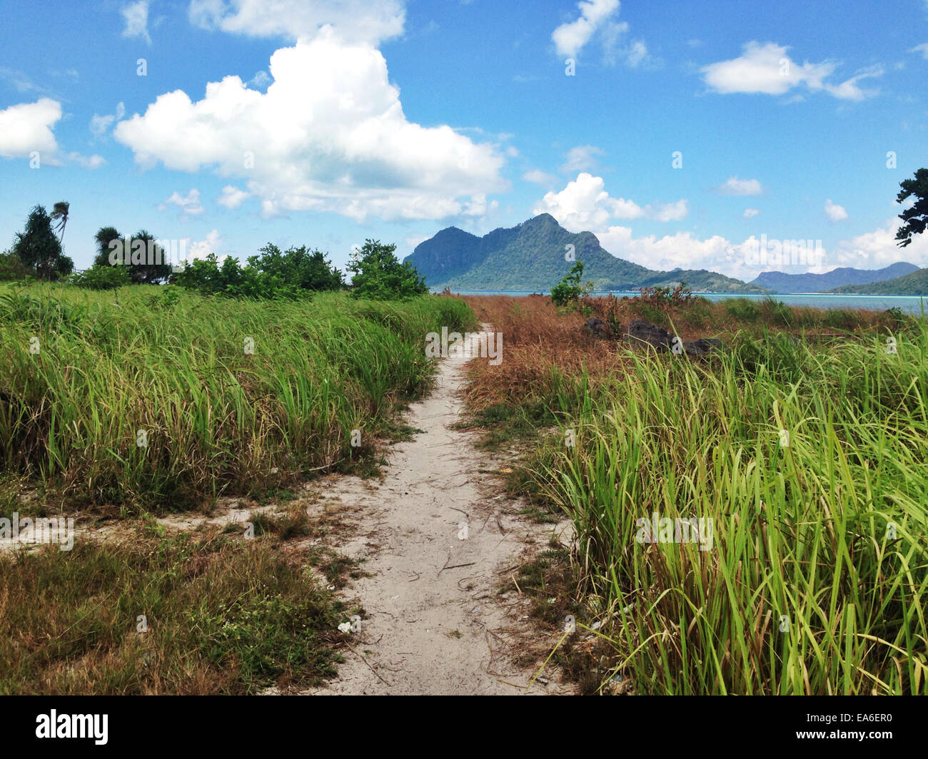 Malaysia, Sabah, Pathway to Inselberg Stockfoto