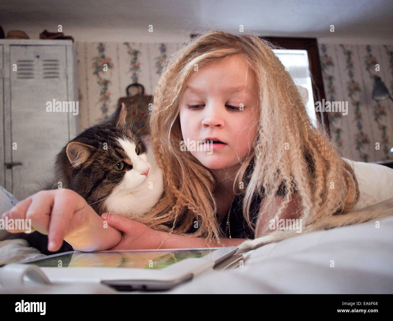 Mädchen Mit Ihrer Katze Mit Digital Tablette Auf Bett Liegend