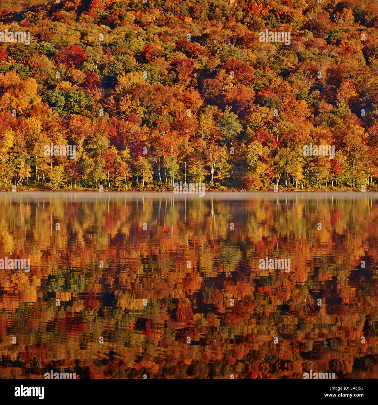 USA, New York State, malerischen Landschaft im Herbst Stockfoto