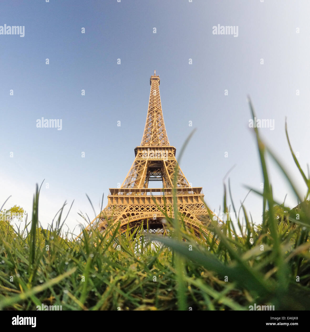 Frankreich, Paris, Blick auf Eiffelturm Stockfoto