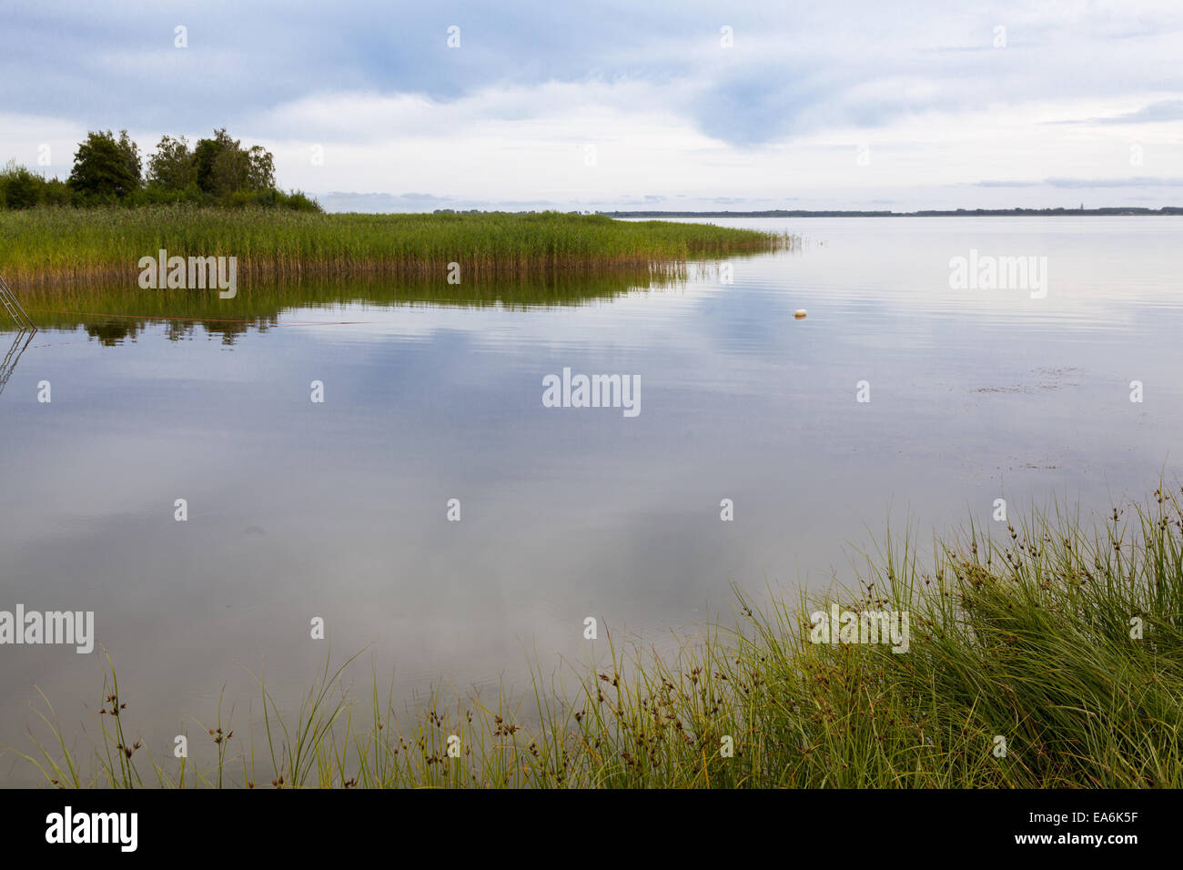 Boddenlandschaft Stockfoto