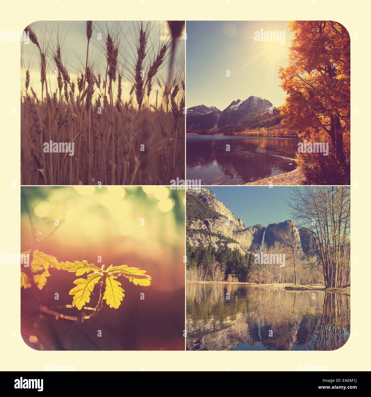 Herbst-collage Stockfoto