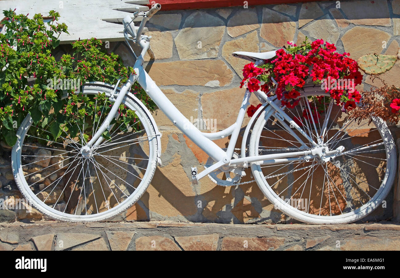Weiße Vintage Fahrrad mit roten Blumen geschmückt steht in der Nähe von alten Steinmauer Stockfoto