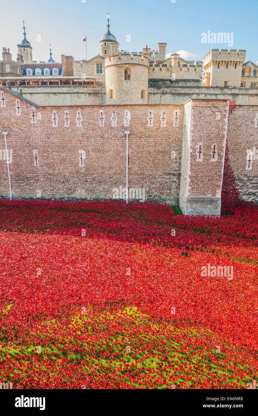 Blut fegte Länder und Meere von Rot ist eine Kunstinstallation von Paul Cummins den 100. Jahrestag des Ausbruchs des Ersten Weltkrieges phillip Roberts Stockfoto