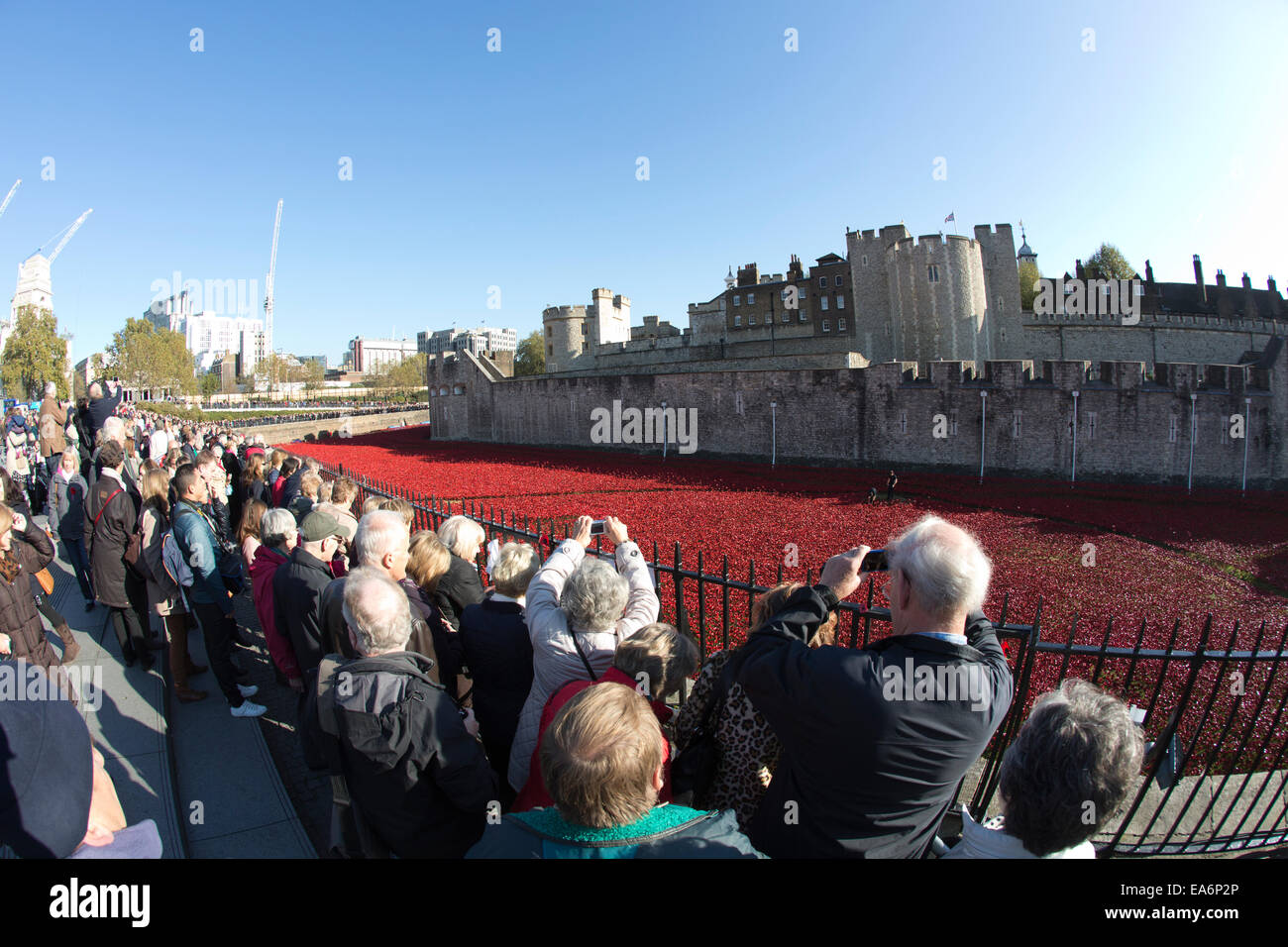 Keramik Mohn in den Graben von der Tower of London-Gedenkmünze anlässlich Tag des Waffenstillstands, London, UK Stockfoto