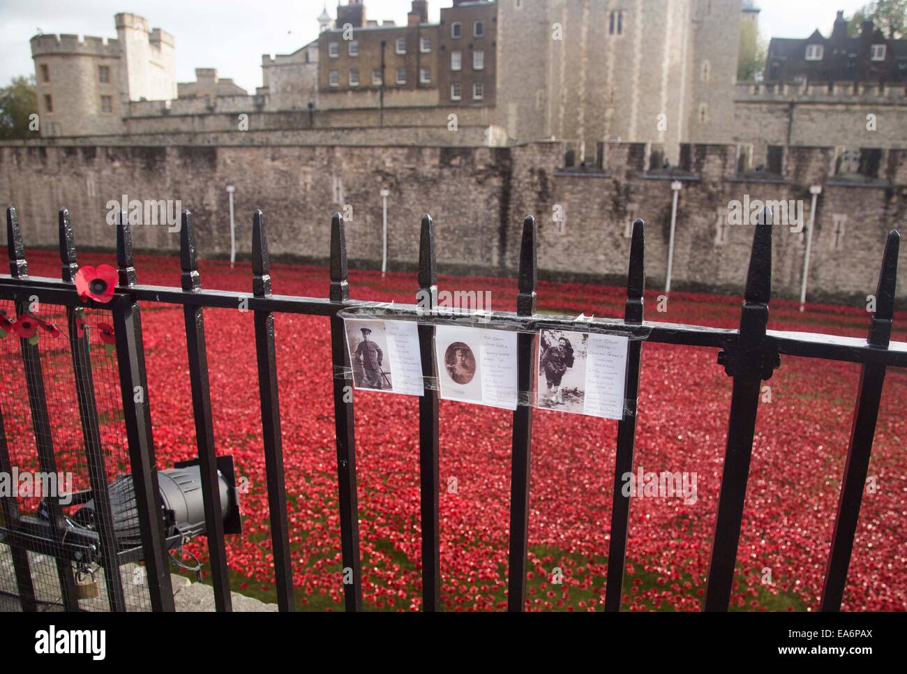 Turm von London Poppy Tribut Blut Mehrfrequenzdarstellung Länder und Meere von Red Stockfoto