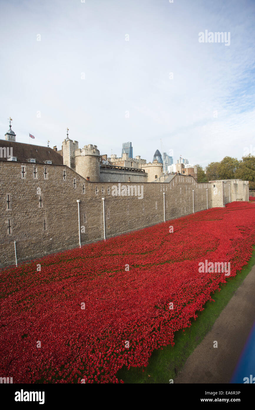 Keramik Mohn in den Graben von der Tower of London-Gedenkmünze anlässlich Tag des Waffenstillstands, London, UK Stockfoto