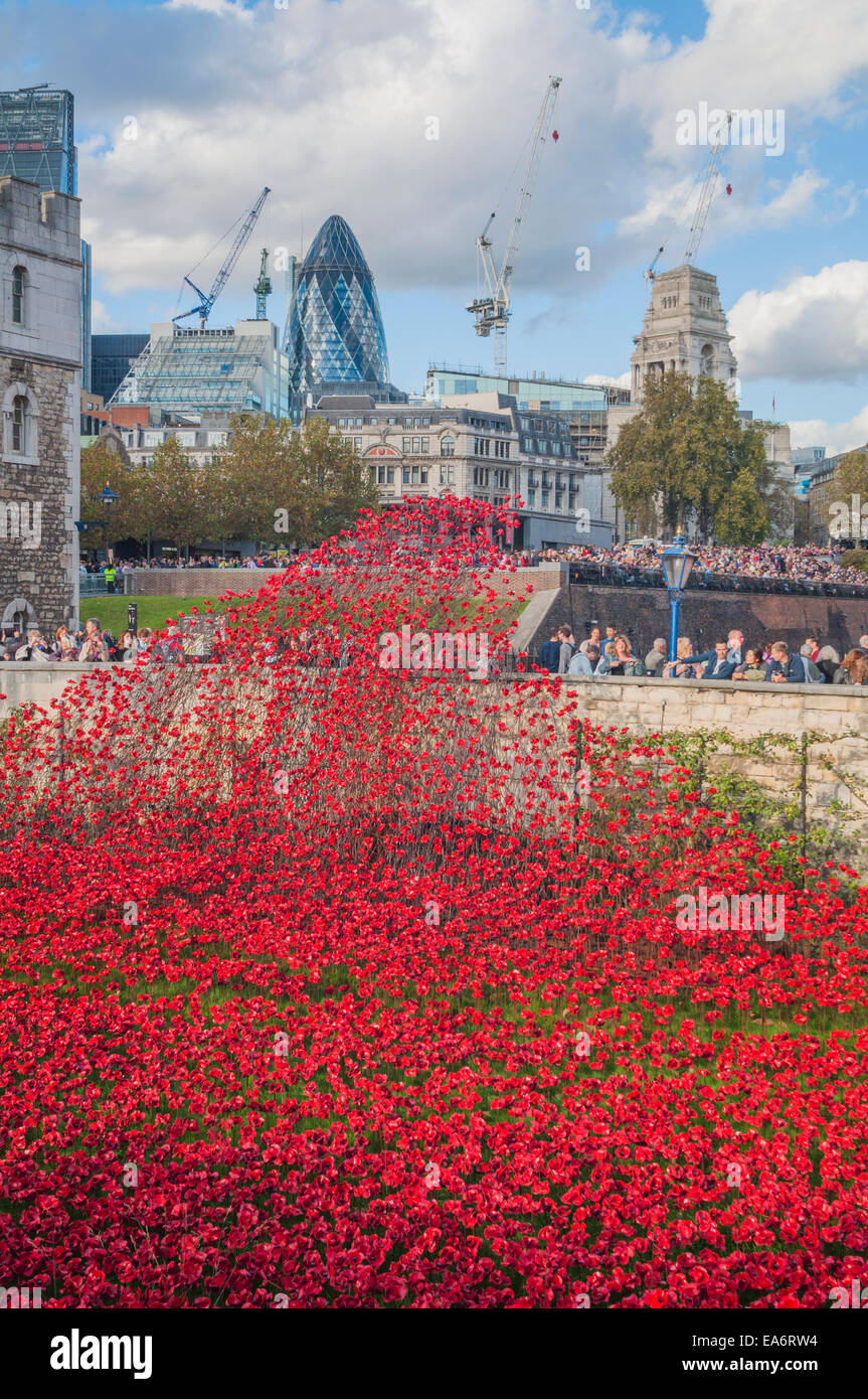 Blut fegte Länder und Meere von Rot ist eine Kunstinstallation von Paul Cummins den 100. Jahrestag des Ausbruchs des Ersten Weltkrieges phillip Roberts Stockfoto