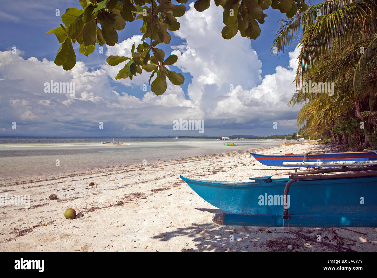 Einsame Strecke von Ananyana Beach, Panglao Island, Bohol, Philippinen, einem schönen, exotischen weißen Sandstrand. Stockfoto