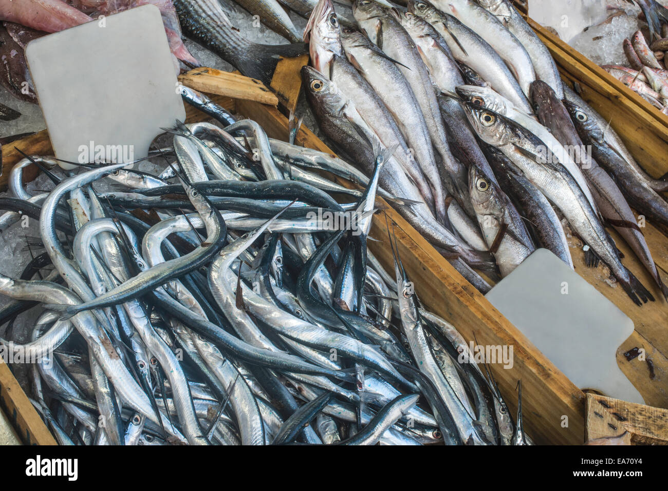Fische auf Eis auf dem Markt. Stockfoto