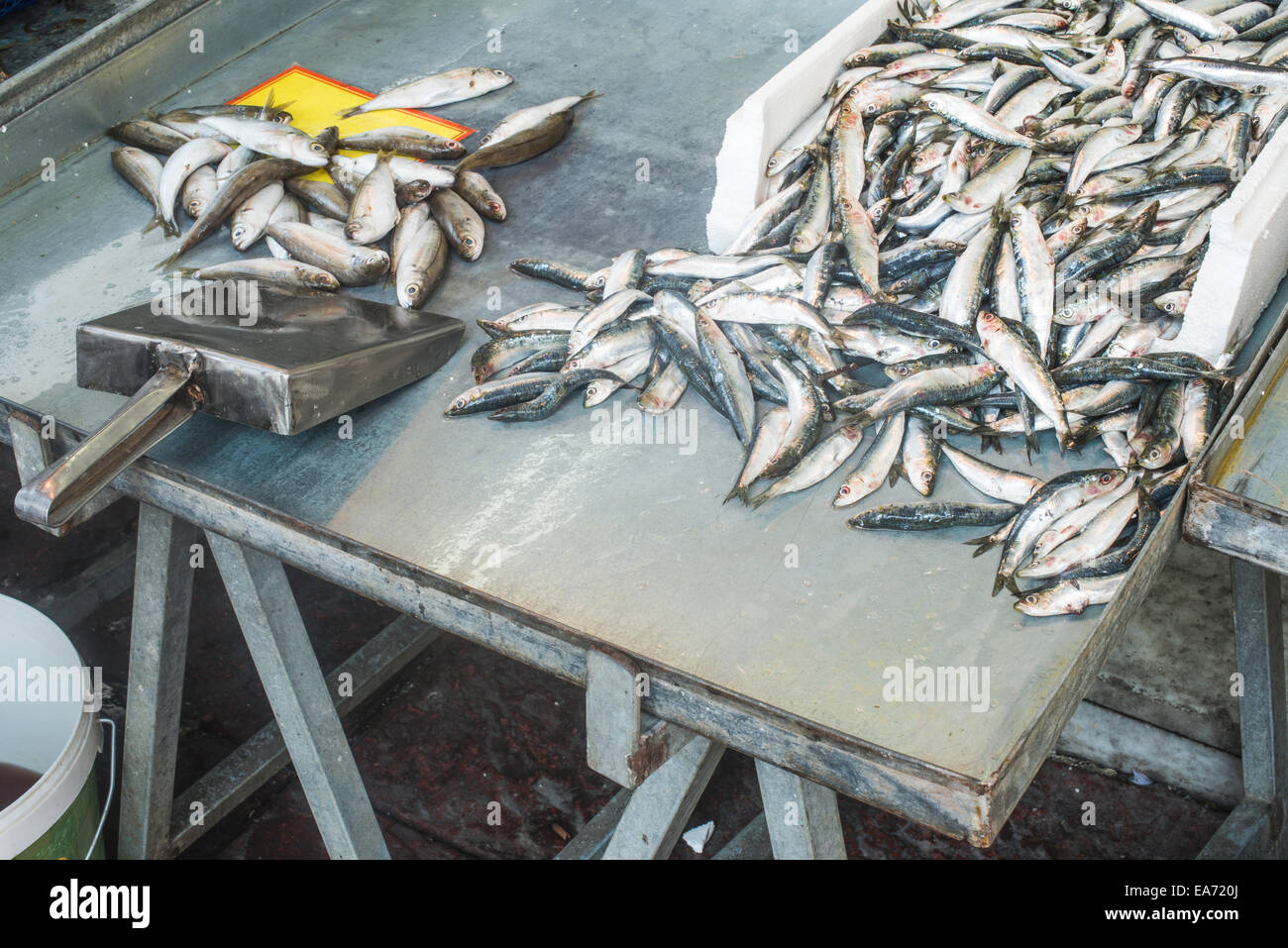 Fische auf Eis auf dem Markt. Stockfoto