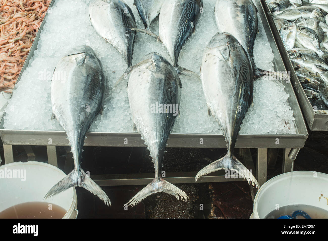 Fische auf Eis auf dem Markt. Stockfoto