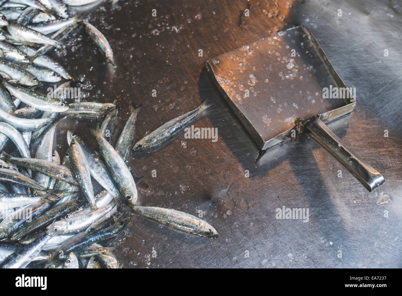 Fische auf Eis auf dem Markt. Stockfoto