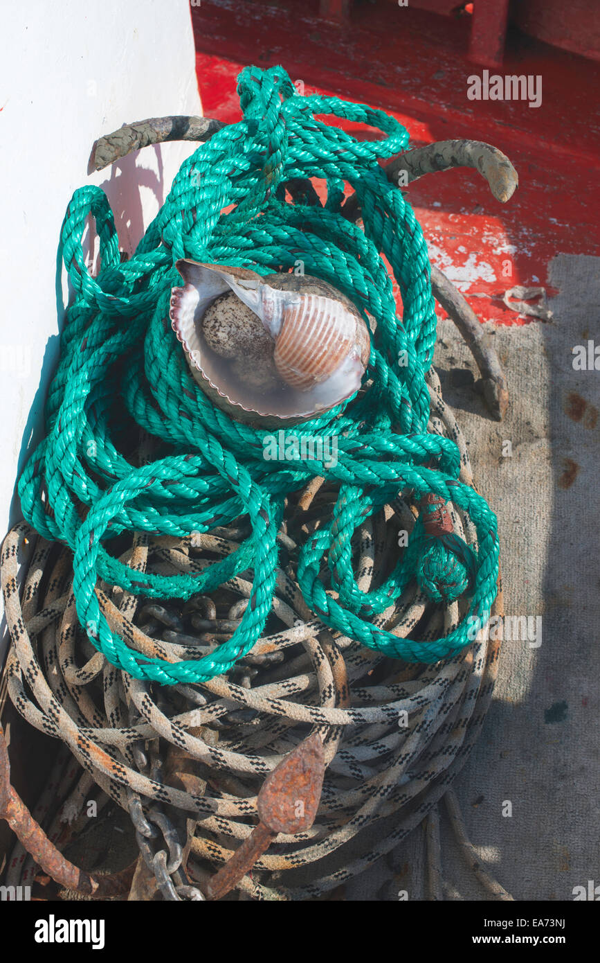 Netzstrümpfe auf Fisch Boot. Stockfoto