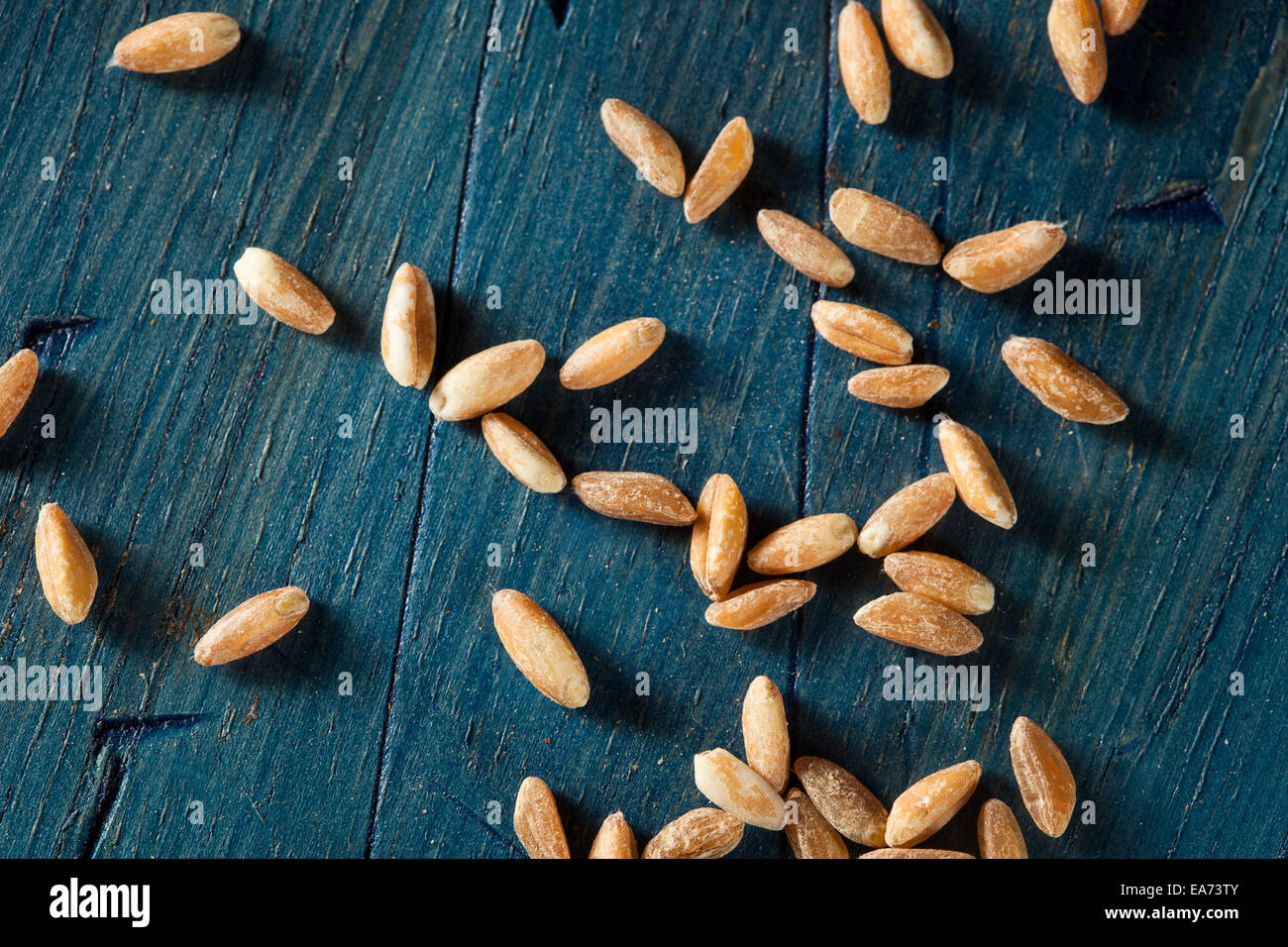 Bio Dinkel Rohfrucht in eine Schüssel geben Stockfoto