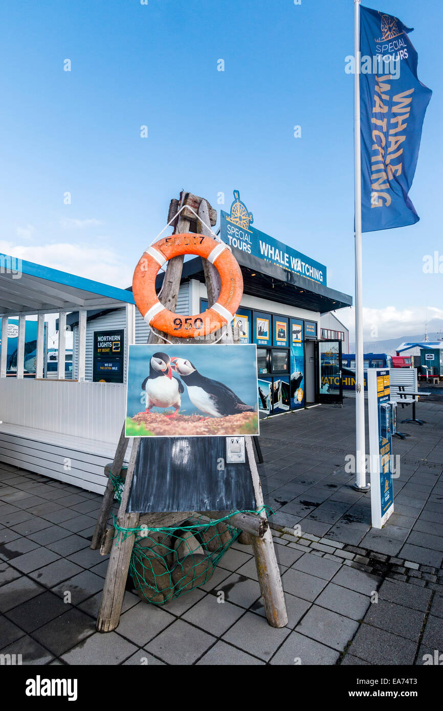 Reykjaviks touristische Waterfront am alten Hafen, ausgekleidet mit Booten, die nur darauf warten, Leute zu sehen, Papageientaucher und Wale nehmen Stockfoto