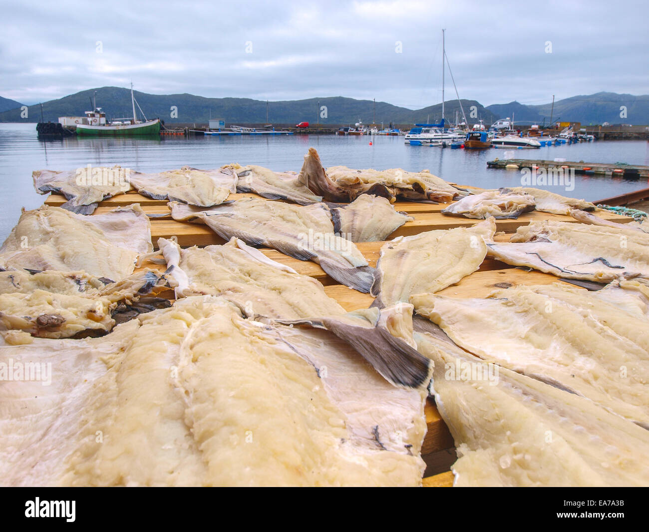 Lager Fischhaut im Hafen in Runde. Norwegen Stockfoto