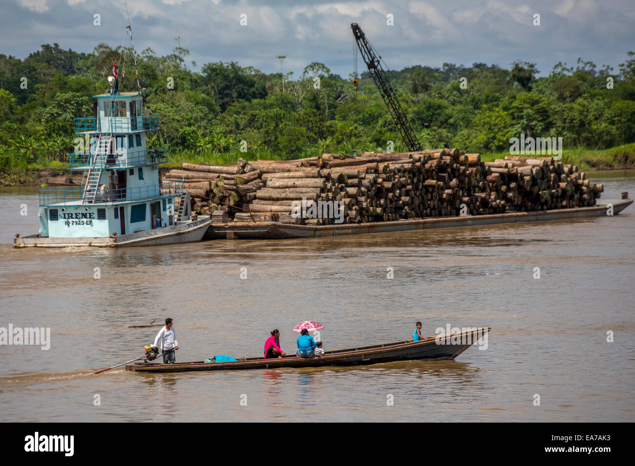 Protokollierung auf dem Amazonas, Menschen aus der Gemeinde ansehen illegal Holz verlassen ihre Wälder, Peru angemeldet Stockfoto