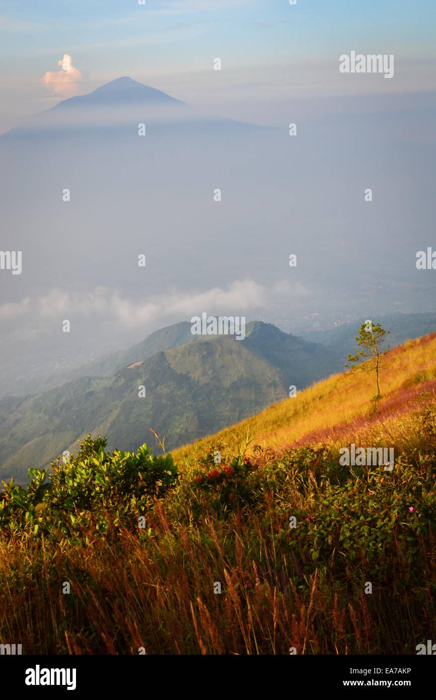 Mount Cikuray von Mount Guntur Gipfel gesehen. Stockfoto