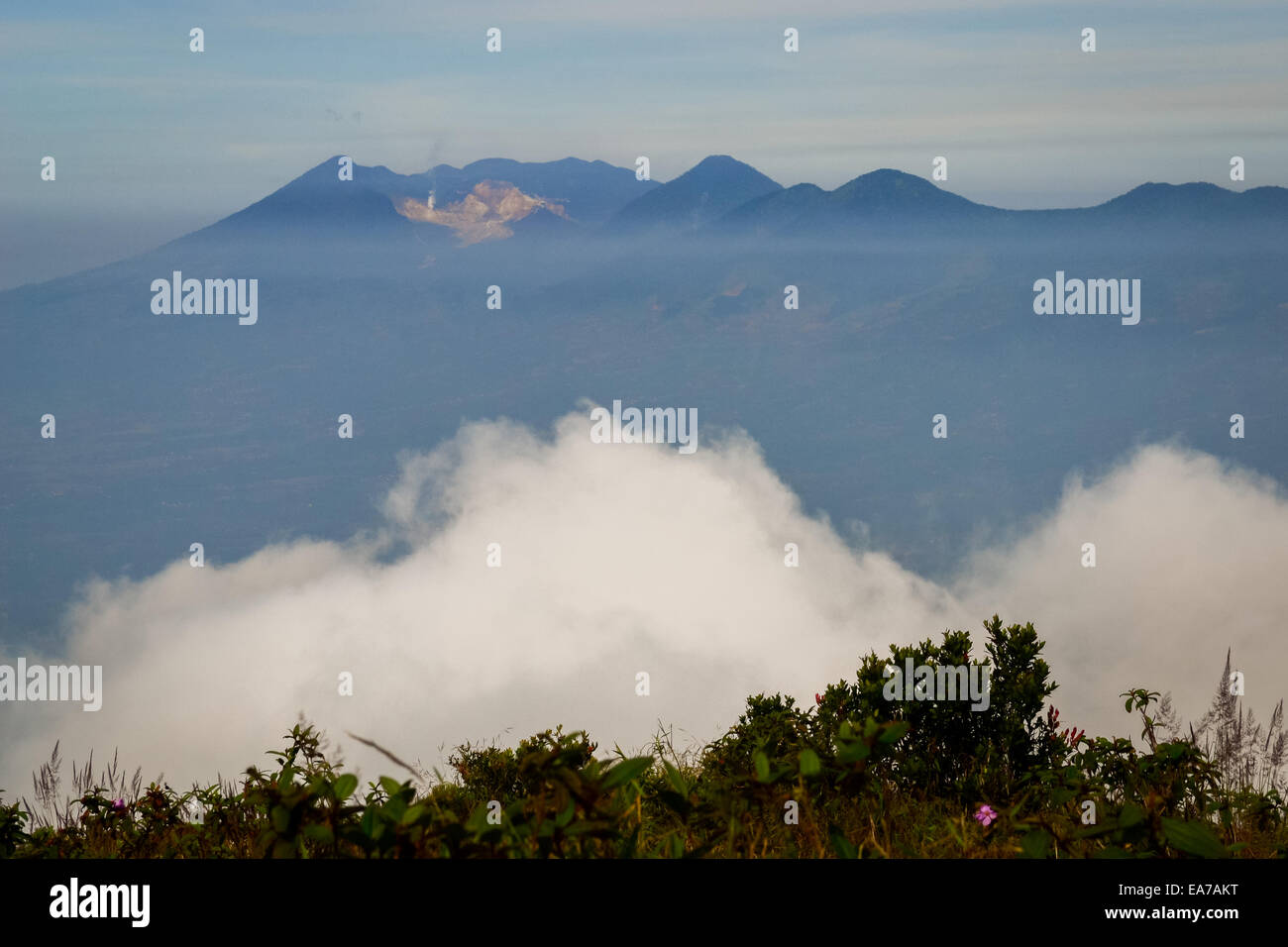 Der aktive Krater des Mount Papandayan vom Mount Guntur Peak gesehen. Stockfoto