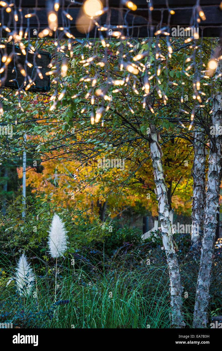 Lichter hängen von den Sparren ein Café-Terrasse an einem frühen Abend im Herbst im Stone Mountain Park in Atlanta, Georgia. Stockfoto