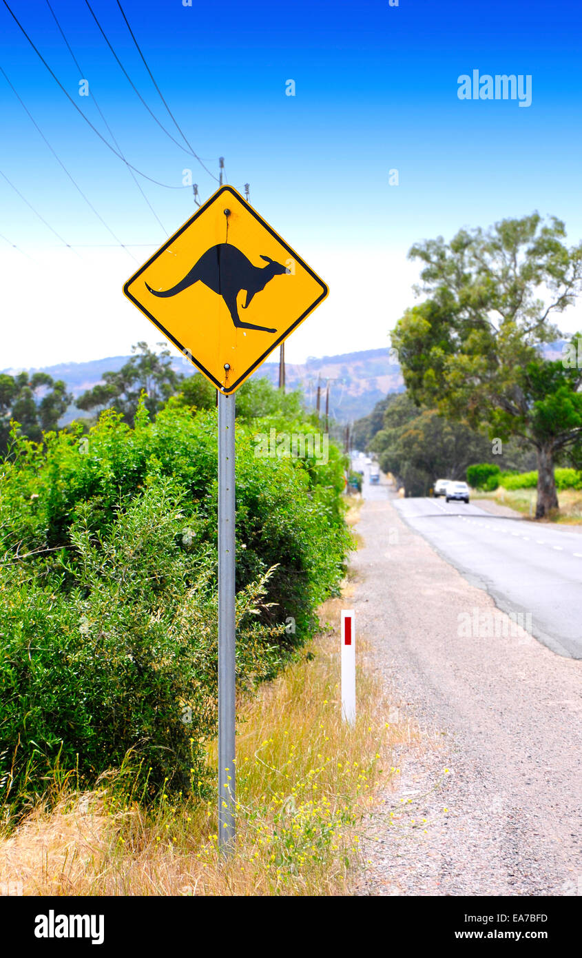 Känguru Schild an australischen Straße überqueren. Stockfoto