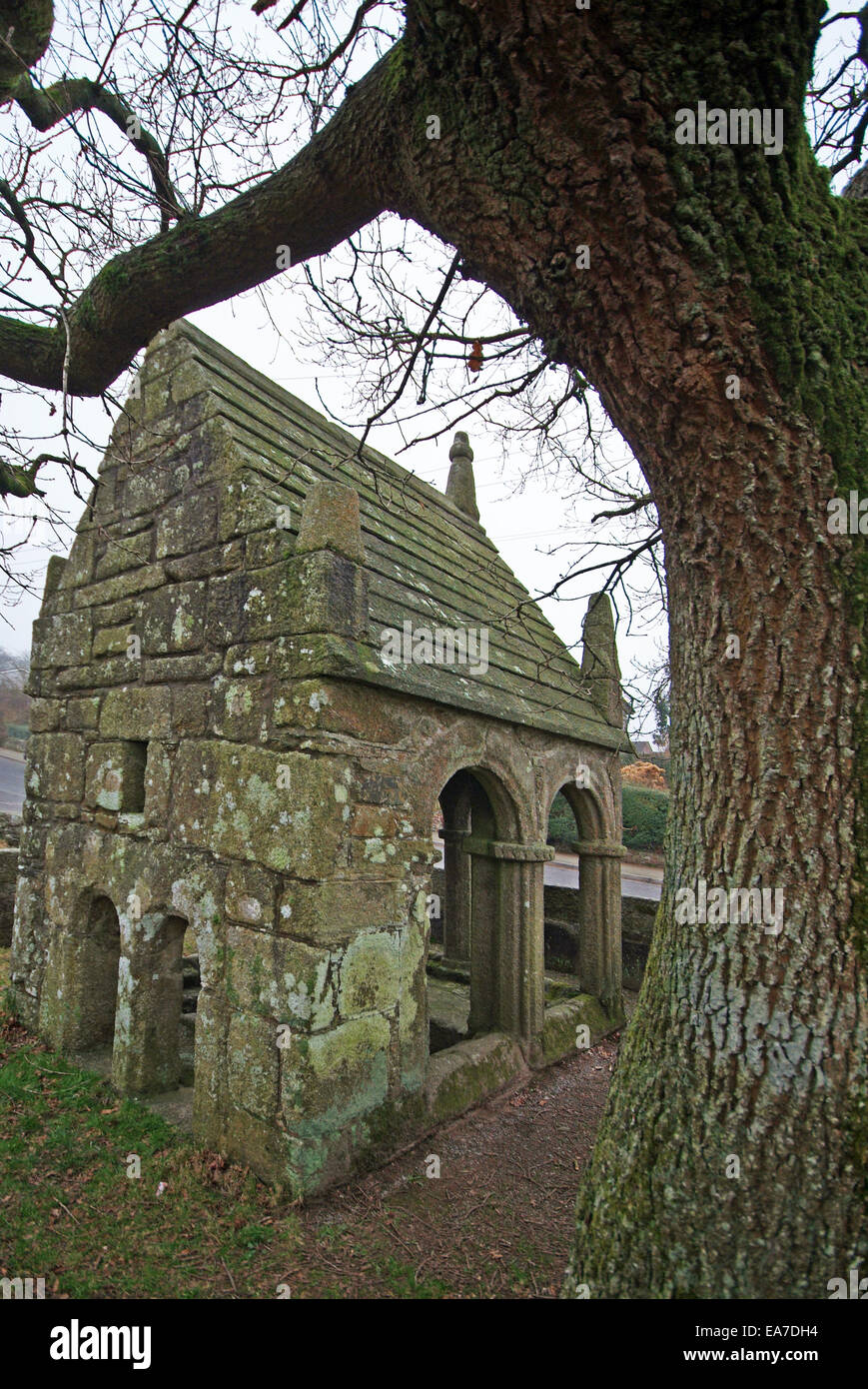 St Cleer Holy Well and tree Bodmin Moor Cornwall England Stockfoto